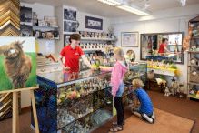 FLACHGLAS, WÄRMESCHUTZ, FUNKTIONSGLAS, KUNSTSTOFFGLÄSER, DACHZUBEHÖR, HOLZPRODUKTE, FENSTER, TÜREN, BAUELEMENTE, INSEKTENSCHUTZ, ROLLLÄDEN, MARKISEN, BESCHATTUNGEN, Schwarzenbek