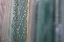 FLACHGLAS, WÄRMESCHUTZ, FUNKTIONSGLAS, KUNSTSTOFFGLÄSER, DACHZUBEHÖR, HOLZPRODUKTE, FENSTER, TÜREN, BAUELEMENTE, INSEKTENSCHUTZ, ROLLLÄDEN, MARKISEN, BESCHATTUNGEN, Schwarzenbek