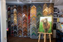 FLACHGLAS, WÄRMESCHUTZ, FUNKTIONSGLAS, KUNSTSTOFFGLÄSER, DACHZUBEHÖR, HOLZPRODUKTE, FENSTER, TÜREN, BAUELEMENTE, INSEKTENSCHUTZ, ROLLLÄDEN, MARKISEN, BESCHATTUNGEN, Schwarzenbek